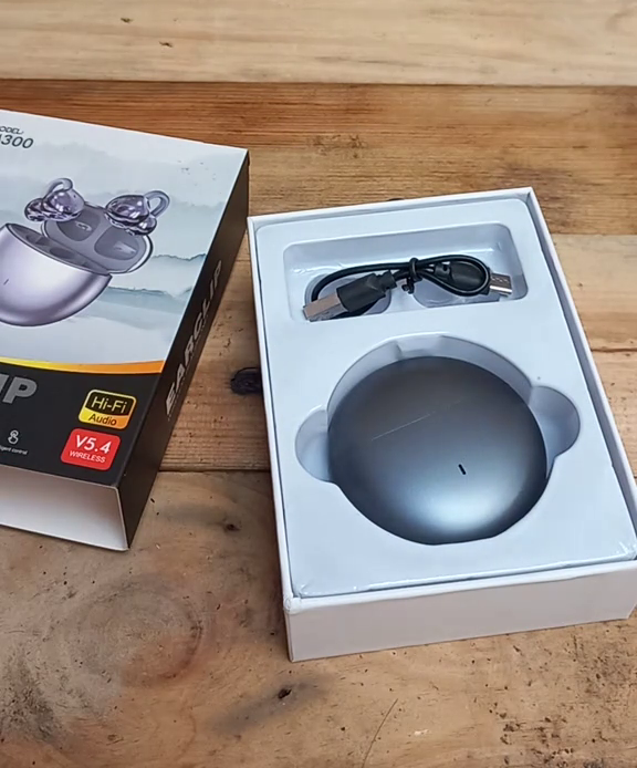 Écouteurs Bluetooth M300 Clip-On Ultra Légers